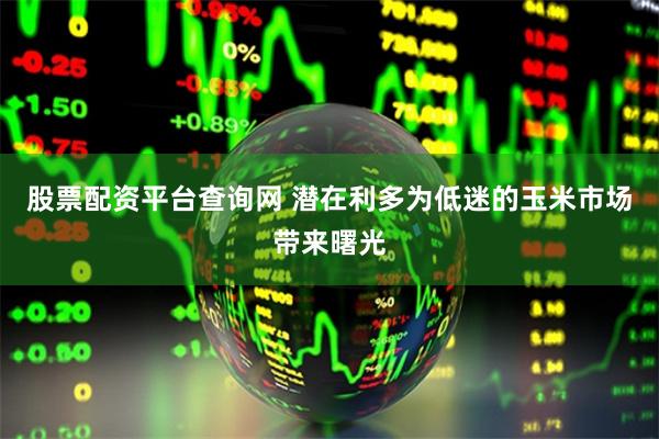 股票配资平台查询网 潜在利多为低迷的玉米市场带来曙光