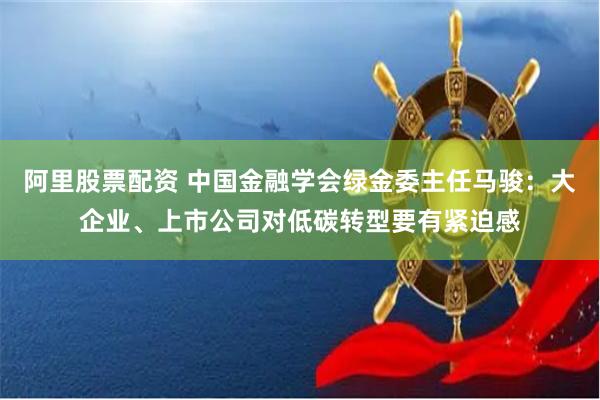 阿里股票配资 中国金融学会绿金委主任马骏：大企业、上市公司对低碳转型要有紧迫感