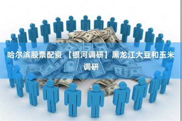 哈尔滨股票配资 【银河调研】黑龙江大豆和玉米调研