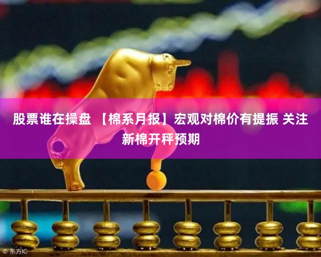股票谁在操盘 【棉系月报】宏观对棉价有提振 关注新棉开秤预期